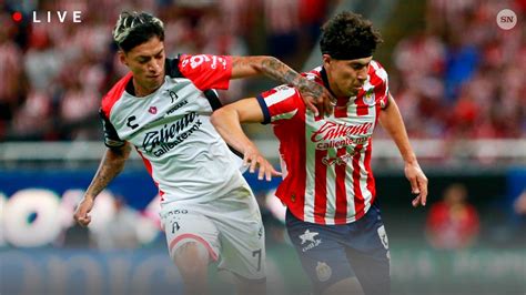 partido de Chivas en vivo